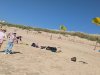 PXL_20250522_145025315.MP_