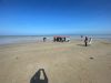 IMG-20250522-WA0058