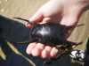IMG-20250522-WA0172