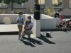 IMG_20210907_110706