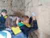 IMG-20250523-WA0115