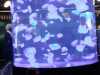 IMG-20250521-WA0014