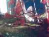 IMG-20250521-WA0015