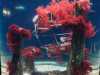 IMG-20250521-WA0072