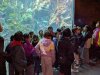 PXL_20250521_084808533