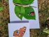 IMG-20250708-WA0007