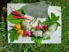IMG-20250708-WA0010