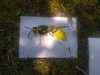 IMG-20250708-WA0014