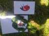 IMG-20250708-WA0019