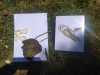 IMG-20250708-WA0022