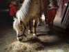 IMG-20230328-WA0008