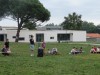 IMG_9781