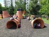 IMG_20220523_121128