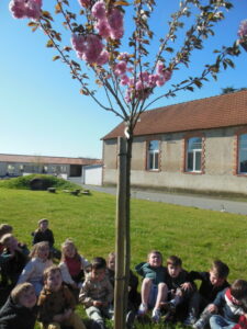 Du nouveau dans la cour : le printemps est là !